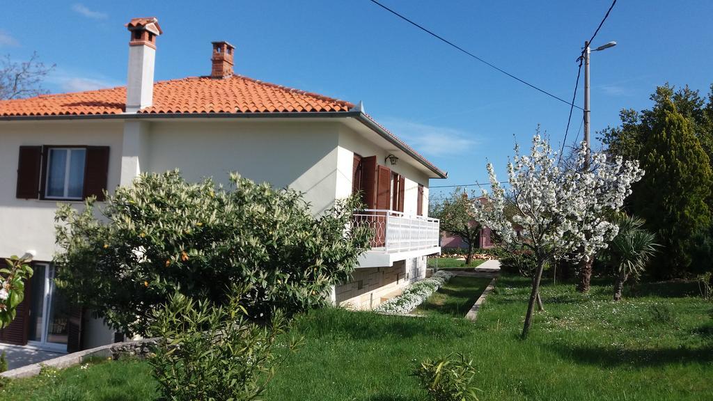 Gianna Apartment Labin Labin  Dış mekan fotoğraf