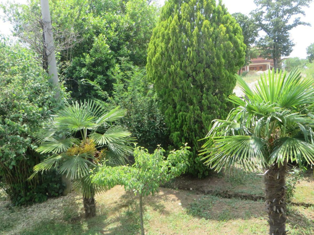 Gianna Apartment Labin Labin  Dış mekan fotoğraf